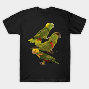 Parrots and mountain parakeet T-Shirt